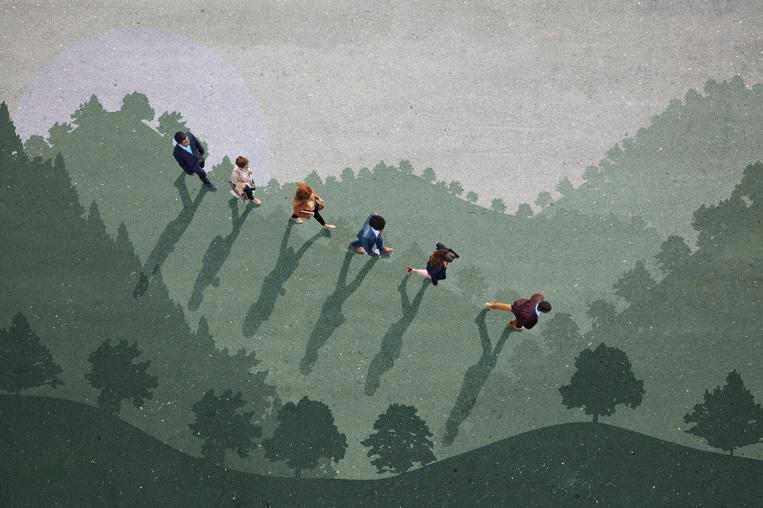 Radical Collaboration And How Organizations Can Work Toward Becoming Climate Positive