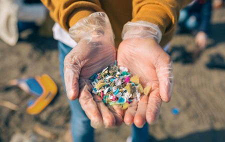 Microplastics Found In Human Hearts For First Time, Showing Impact Of Pollution