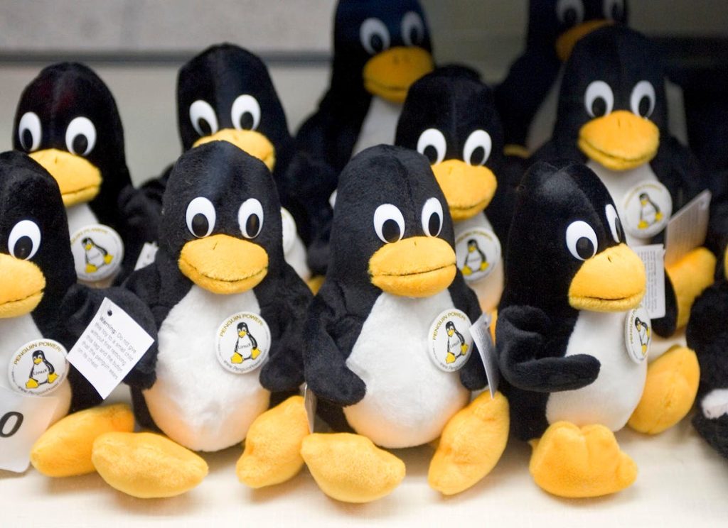 The Future Of Open-Source Enterprise Linux And Community Collaboration